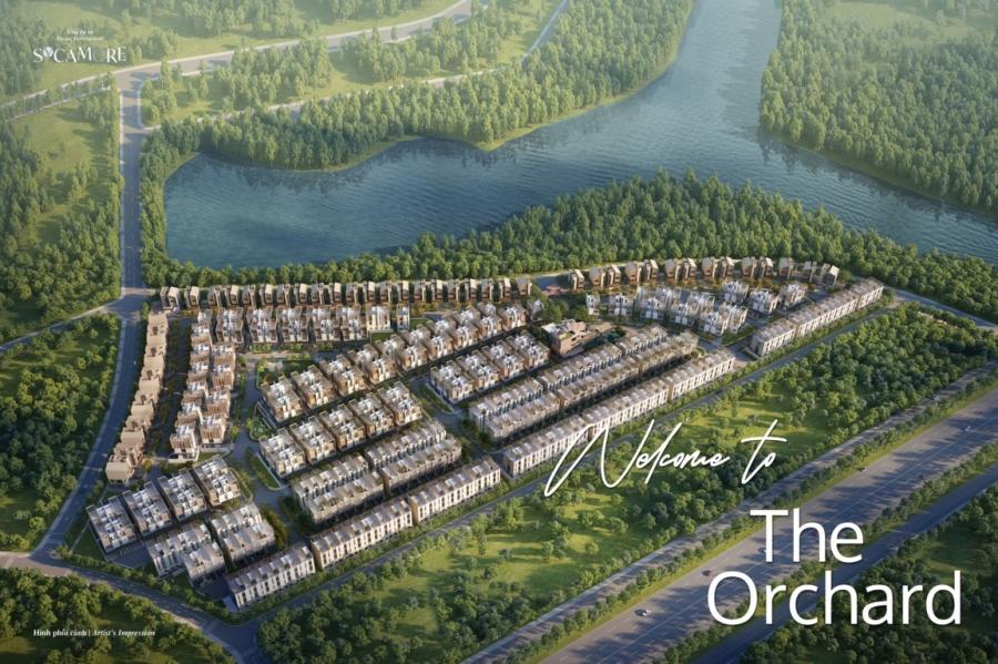 SYCAMORE BÌNH DƯƠNG